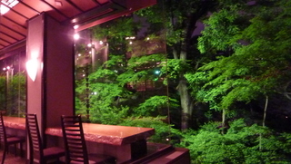 白金料庭 槐樹/八芳園 画像1 夜景が見えるレストラン