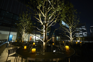 arcana tokyo KARATO （アルカナ東京KARATO） フレンチ 夜景が見えるレストラン