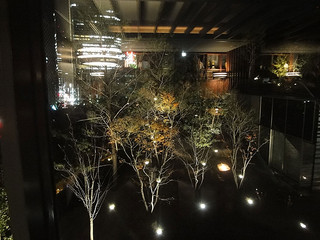  ザ・キャピトル バー／ザ・キャピトルホテル東急 画像1 夜景が見えるレストラン